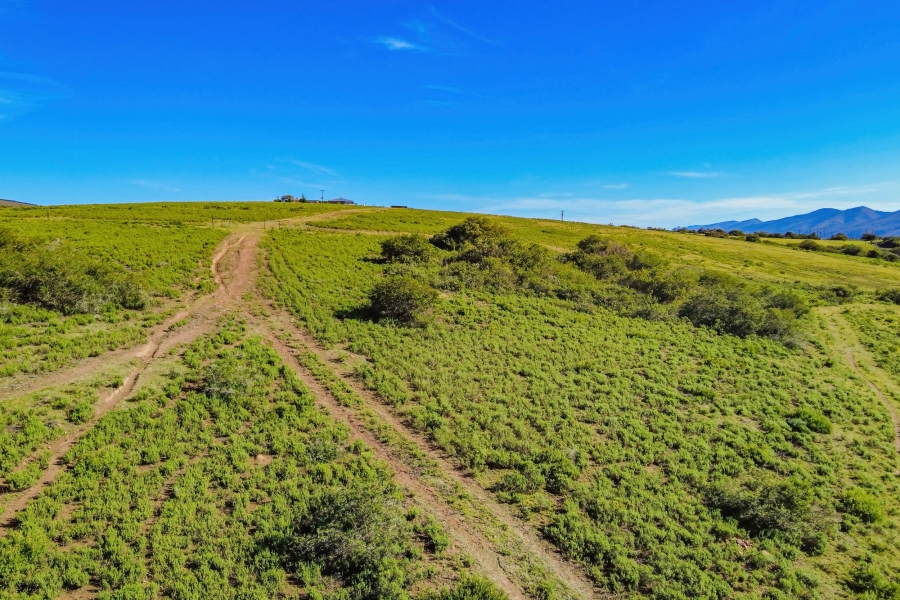 5 Bedroom Property for Sale in Elandsrivier Eastern Cape